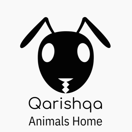 cropped-qarishqa-high-resolution-color-logo-1.png